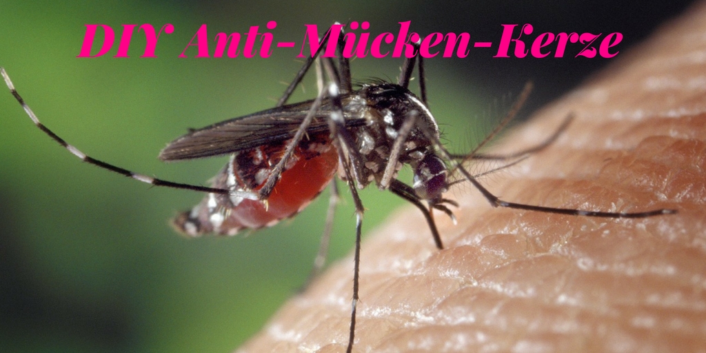 Urlaub zuhause - Tipps für Daheimgebliebene DIY Anti-Mücken-Kerze