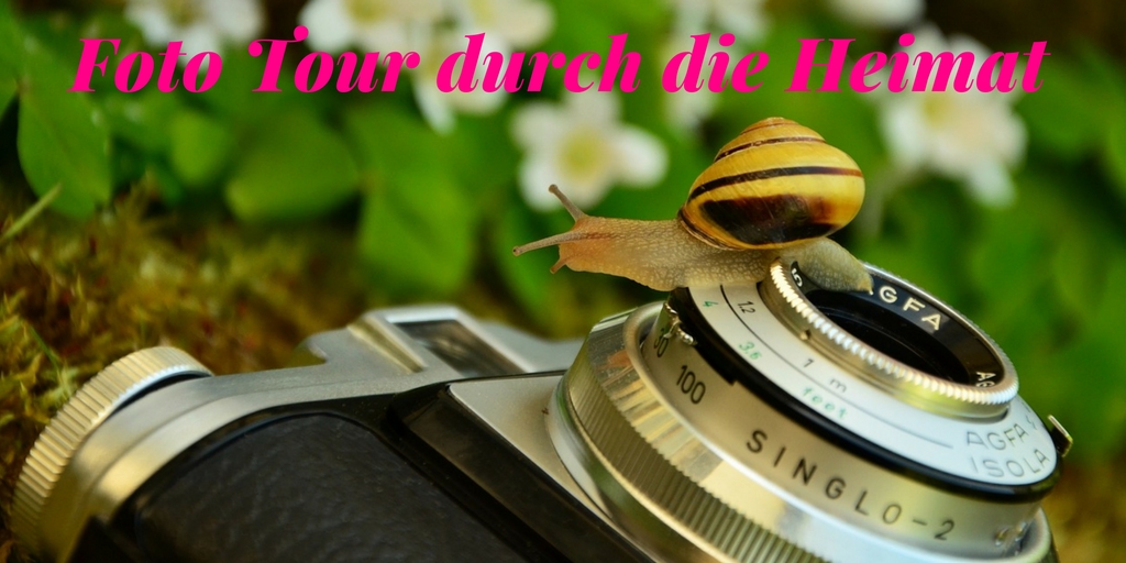Urlaub zuhause - Tipps für Daheimgebliebene Foto Tour